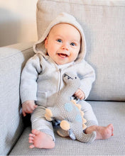 Load image into Gallery viewer, Otto Dino Rattle