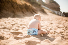 Load image into Gallery viewer, Whales Swimming Nappy